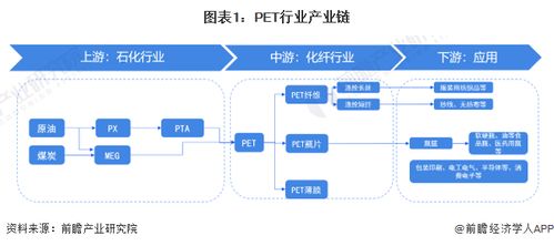 中国PET行业产业链全景梳理及区域热力地图